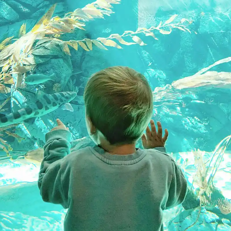 Lauren Conrads Family Album With William Tell and Sons