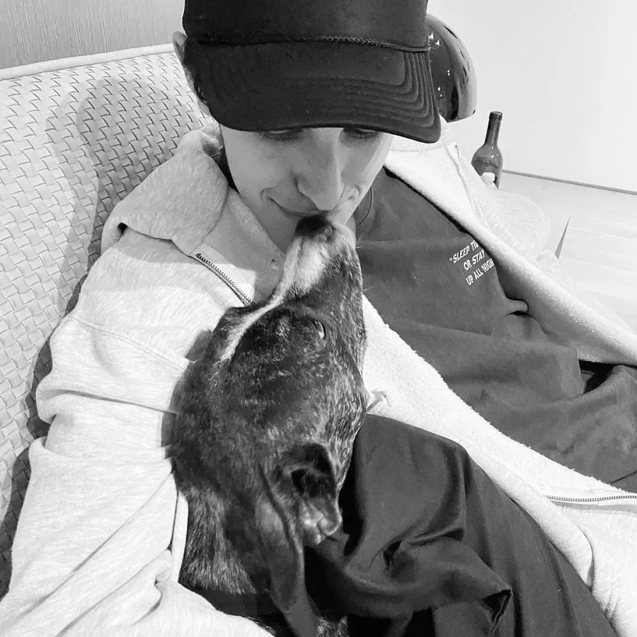 Dalton Kissing Dog Ariana Grande and Dalton Gomez Relationship Timeline