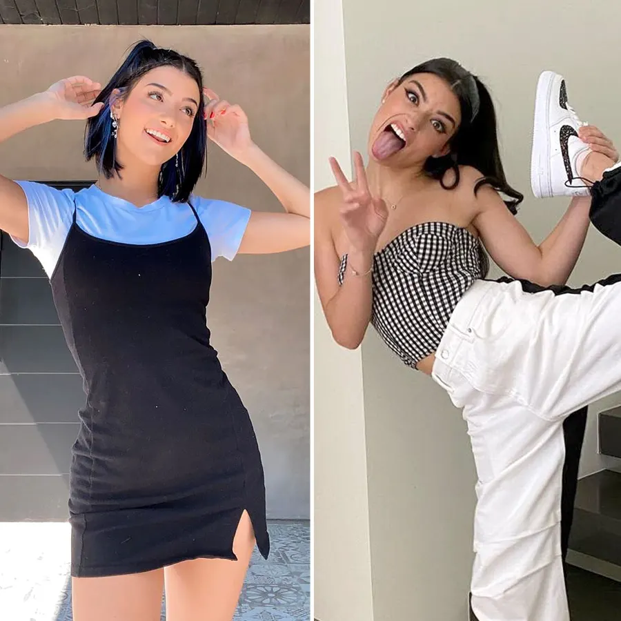 10 Good Things That Happened 2020 Charli D'Amelio Dixie D'Amelio