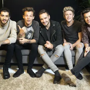 One Direction Zayn Malik Louis Tomlinson Liam Payne Niall Horan and Harry Styles in 2014 Shocking Band Exits Through the Years