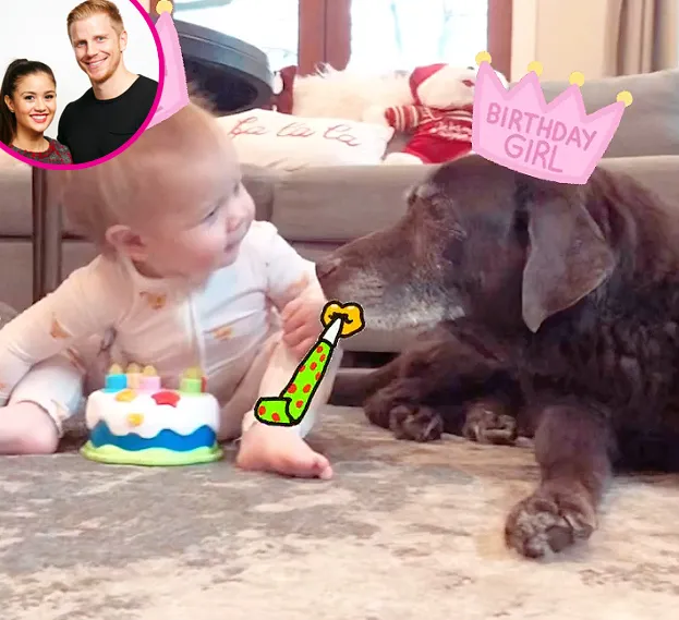 Catherine Giudici and Sean Lowe birthday quarantine p