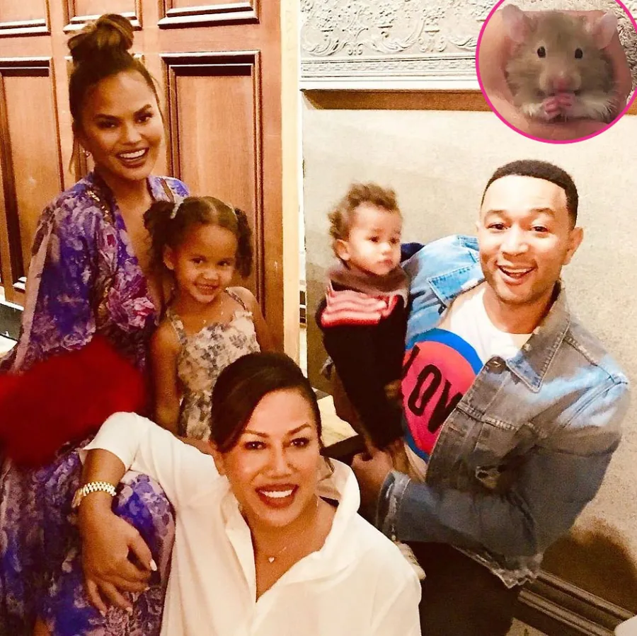 Chrissy Teigen Says Family Hamster Peanut Butter Has Died