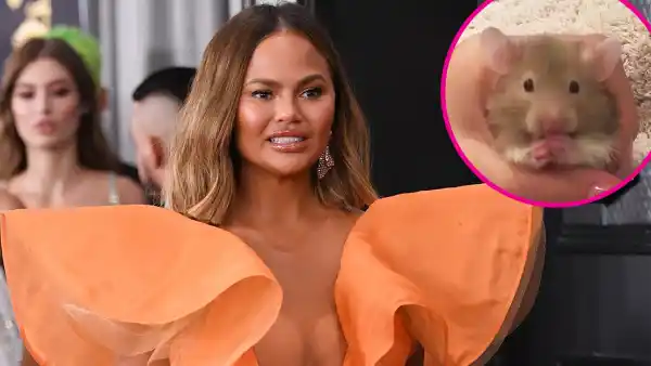 Chrissy Teigen Says Family Hamster Peanut Butter Has Died