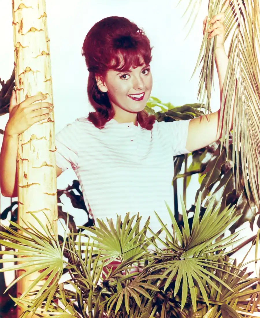 Dawn Wells Dies COVID-19 82