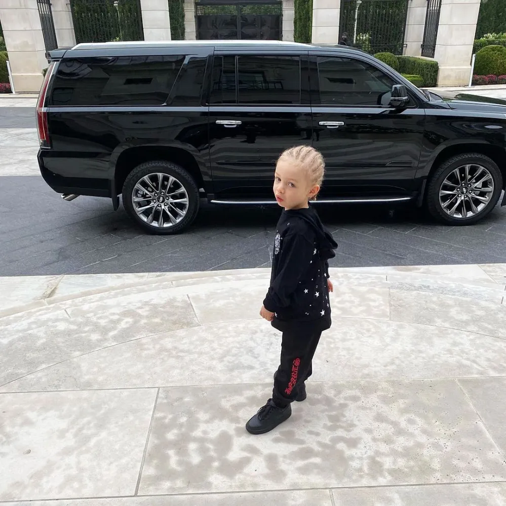 Drake and Sophie Brussaux Are Happily Coparenting Their Son Adonis