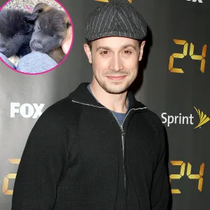 Freddie Prinze Jr Says Having Puppies Is Harder Than Raising Babies