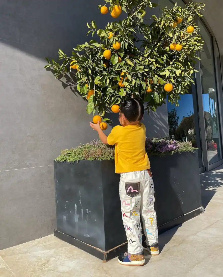 Fun With Fruit Stormi Webster Baby Album Kylie Jenner Travis Scott First Child