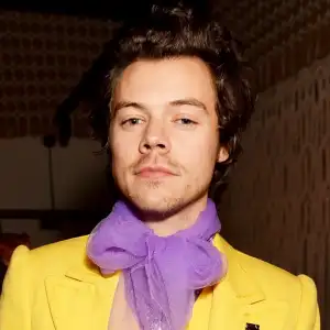 Harry Styles Is No Hurry Date Amid Coronavirus Pandemic