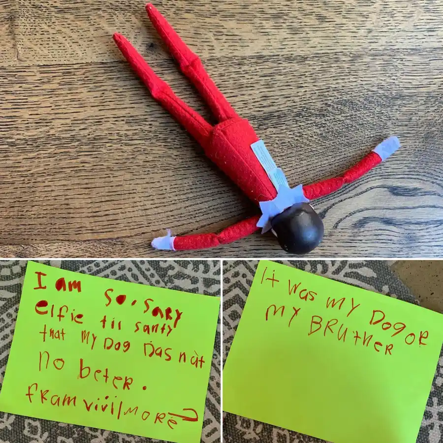 Jessie James Decker Elf