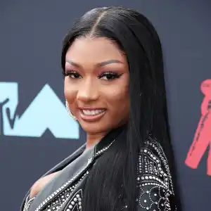 Megan Thee Stallion Shakes Her Body-ody-ody and 'Lets Her Real Hair Down'