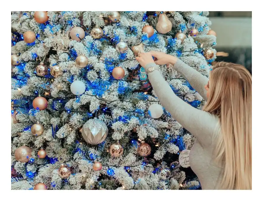 Mike The Situation Sorrentino and Wife Lauren Announce Having a Boy Gender Reveal Instagram