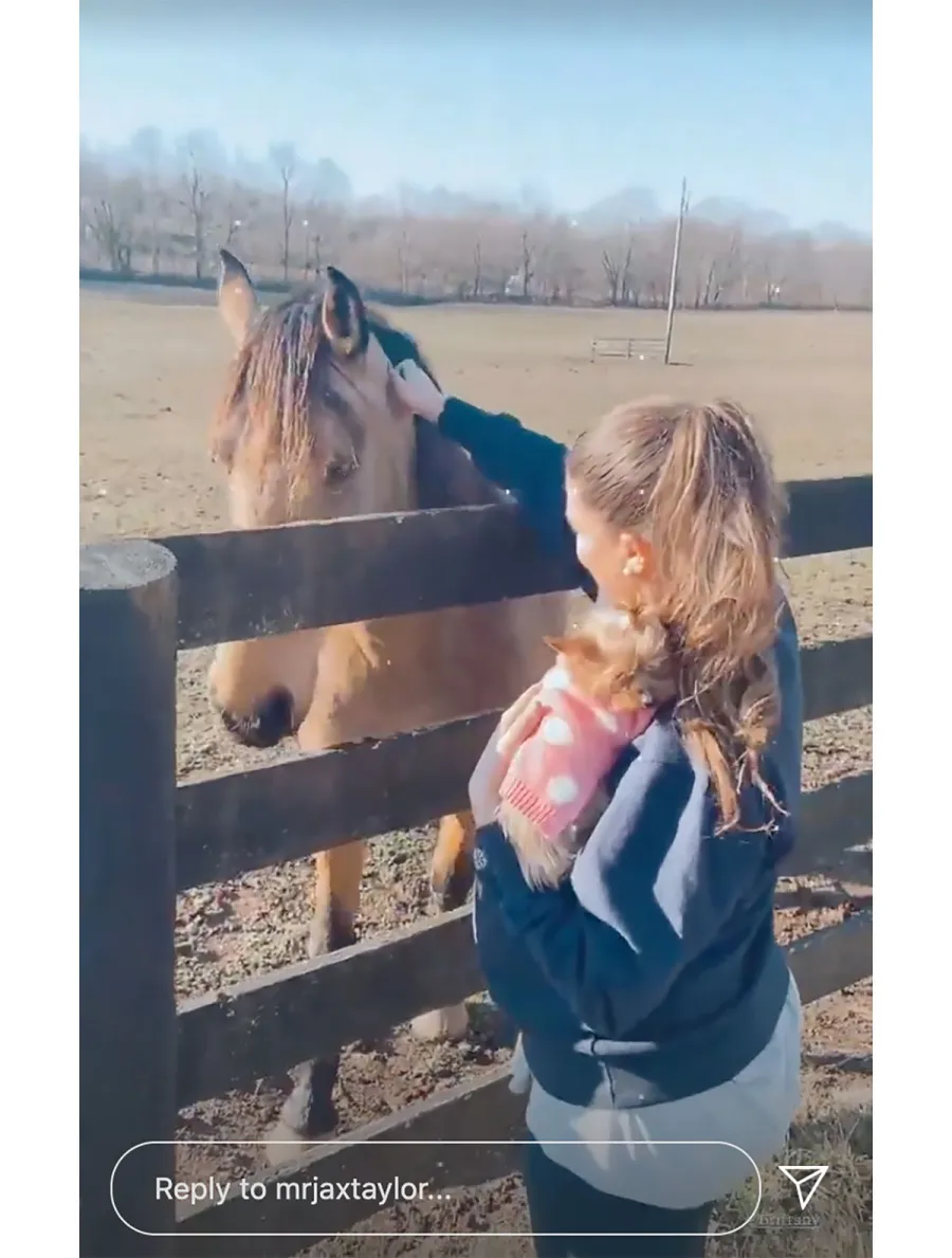 Pregnant Brittany Cartwright’s Baby Bump Album Ahead of 1st Child With Jax Taylor