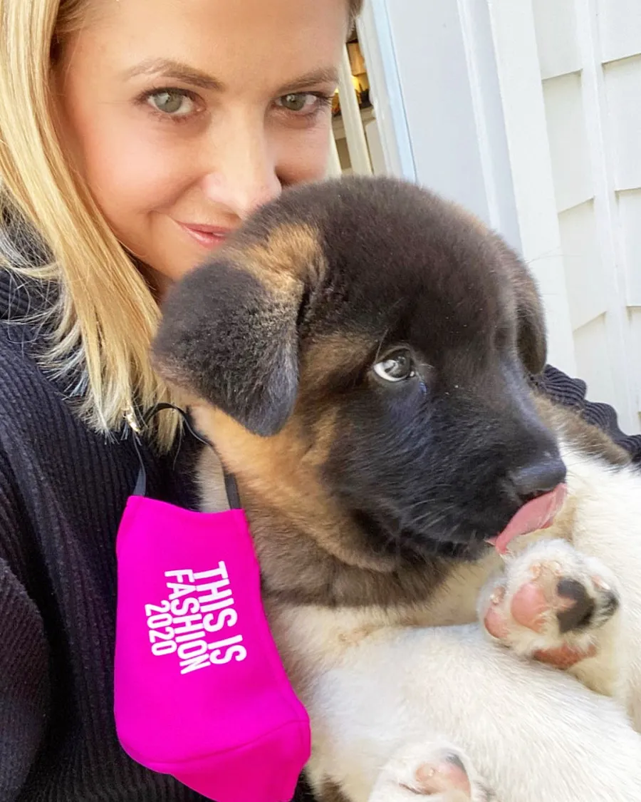 Sarah Michelle Gellar Stars Who Are Adopting or Fostering Pets During Quarantine