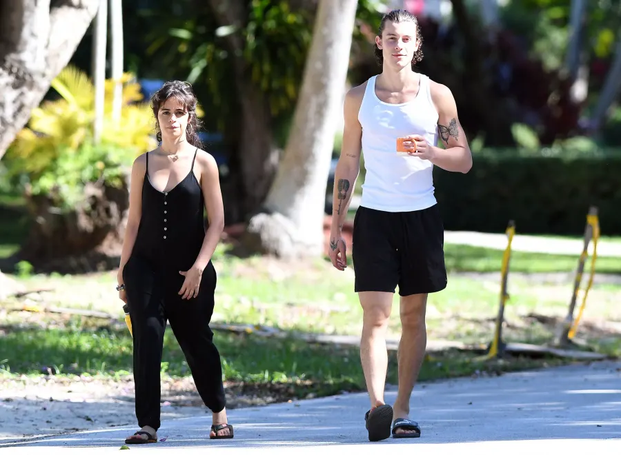 Shawn Mendes Reveals His Plans for Christmas With Camila Cabello