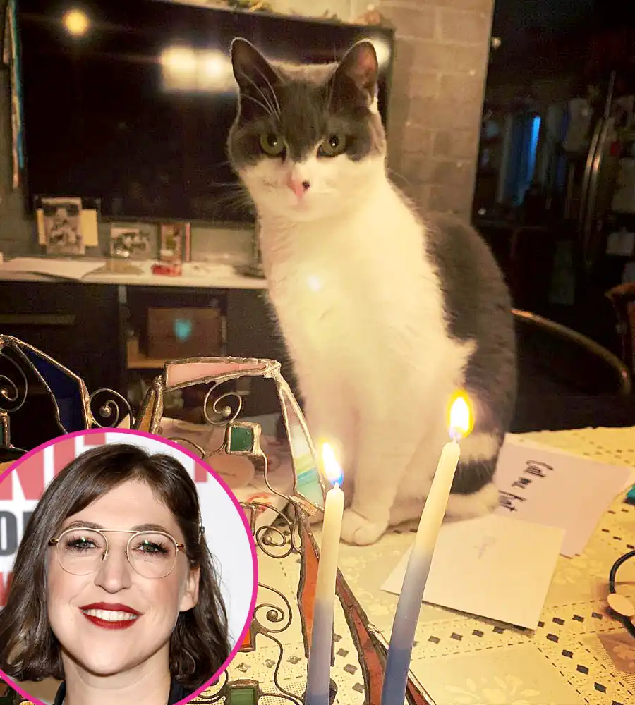Mayim Bialik Stars Celebrate Hanukkah 2020