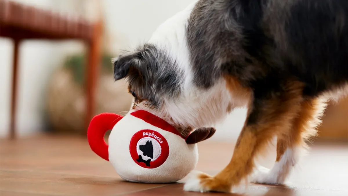 chewy-holiday-gift-dog-toys