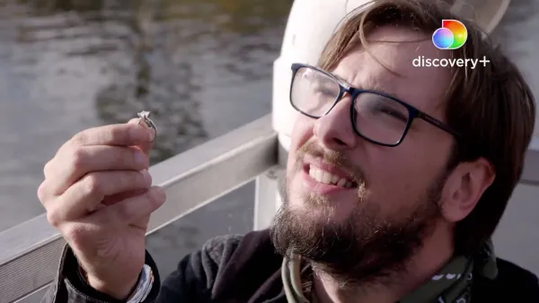 Colt Proposing 90 Day Single Life Trailer