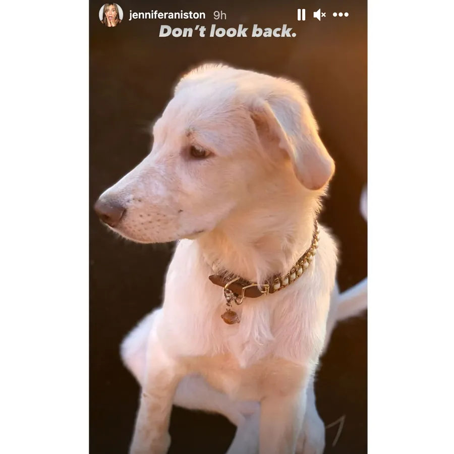 Jennifer Aniston How Celebs Celebrated New Years Eve