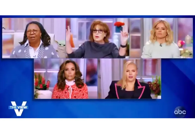 Joy Behar I Didnt Miss Meghan McCain While She Was Maternity Leave