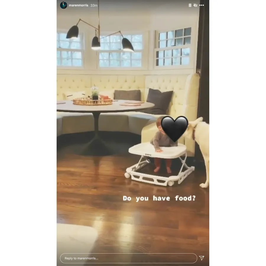 Maren Morris and Ryan Hurd Son Hayes Touching Dog