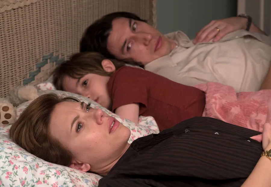 Marriage Story Laura Wasser What to Know About the High-Power Attorney