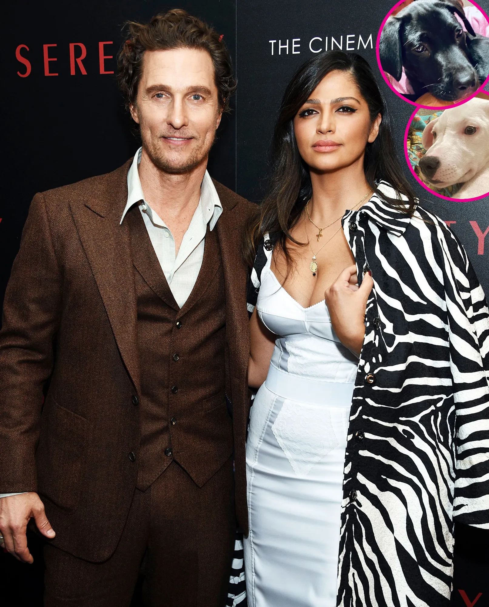 Matthew McConaughey and Camila Alves Adopted 2 Puppies Within 1 Week p
