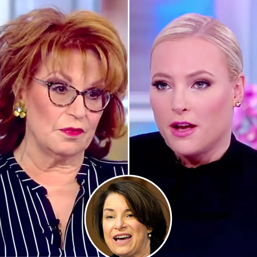 Meghan McCain Most Dramatic The View Moments