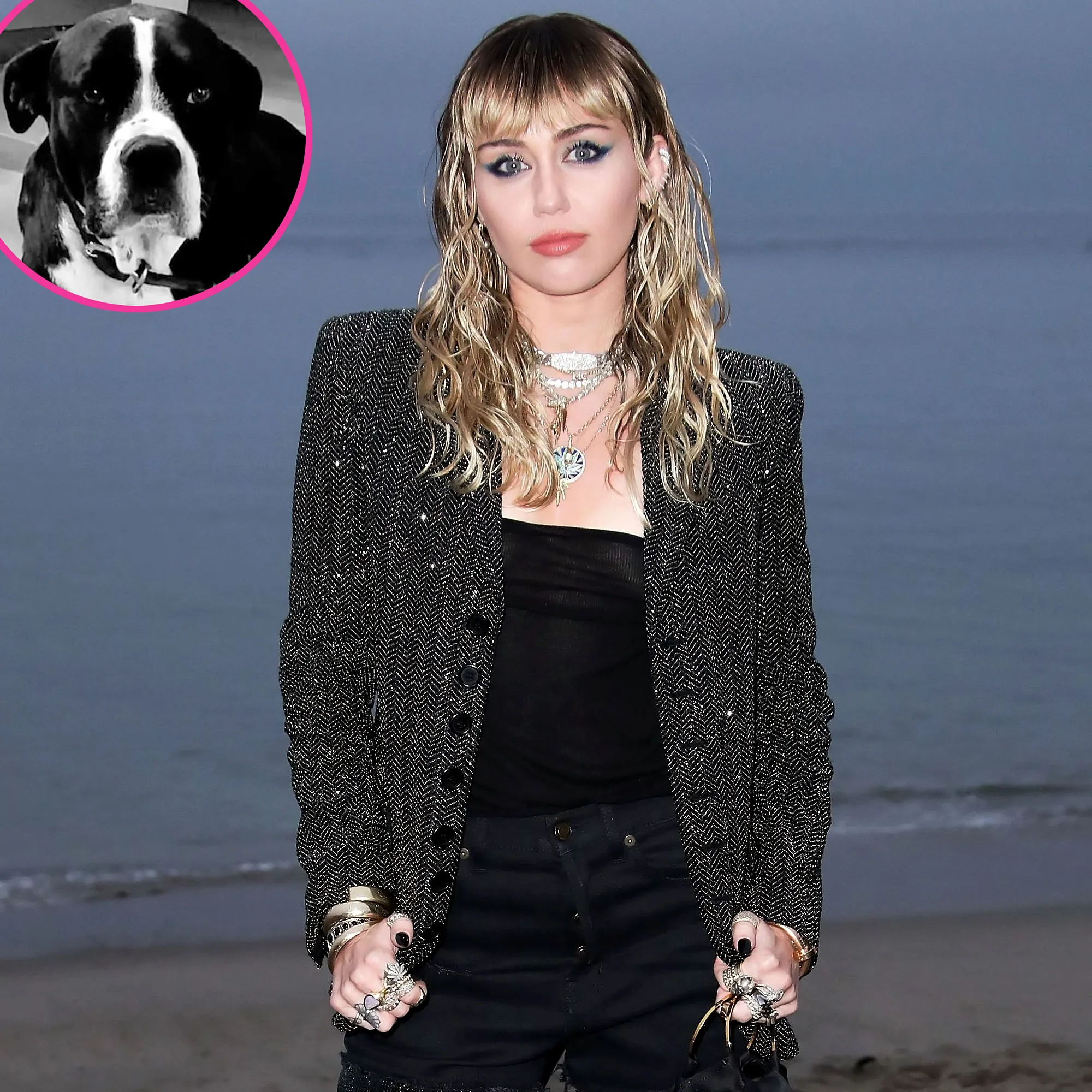 Miley Cyrus Mourns Death Angel Dog Mary Jane