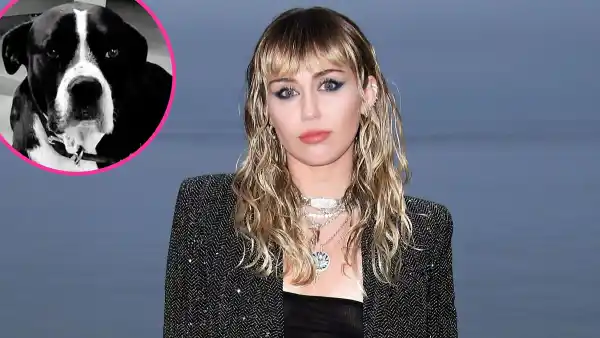 Miley Cyrus Mourns Death Angel Dog Mary Jane