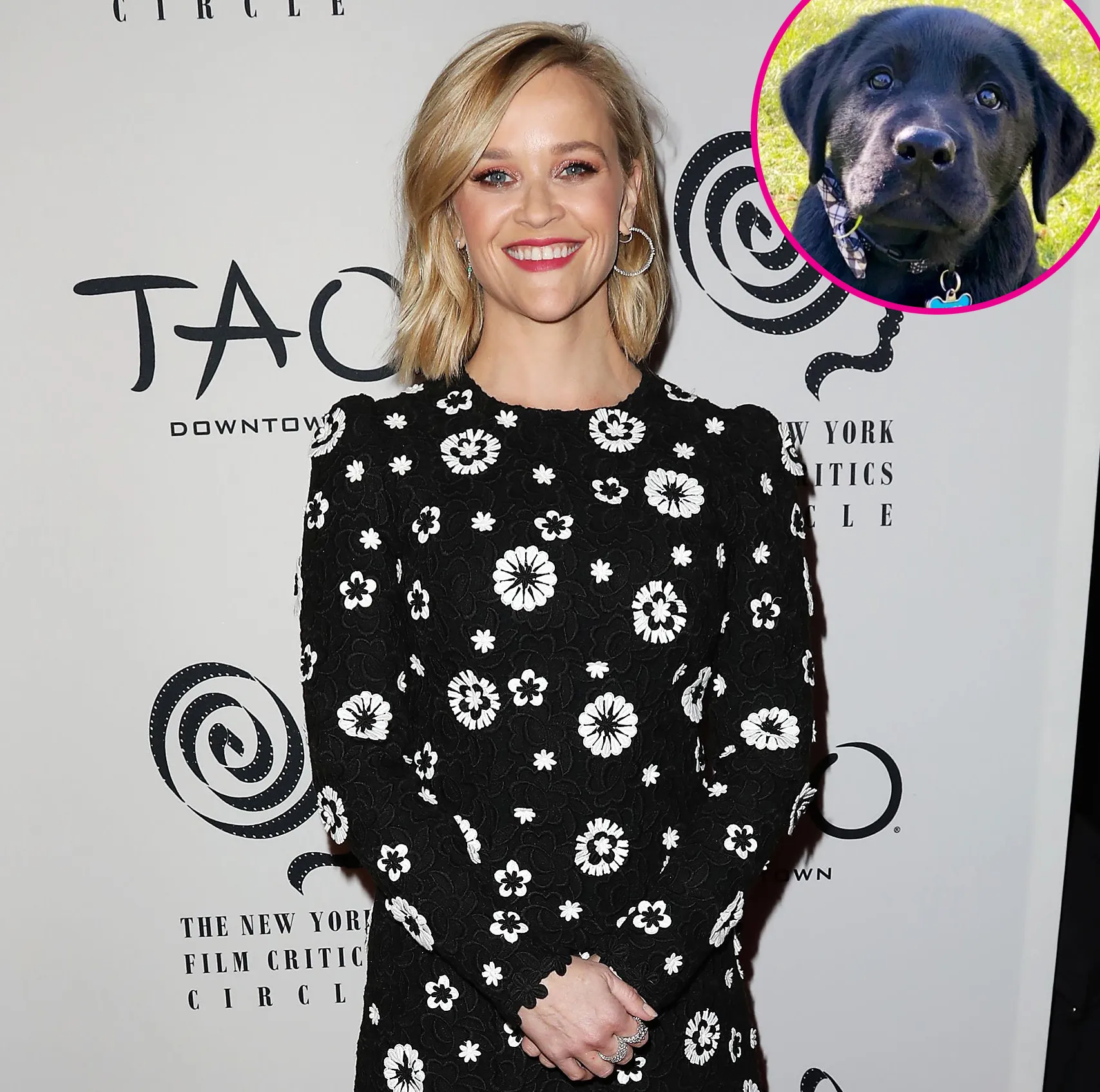 Reese Witherspoon Welcomes New Labrador Puppy to Her Family p