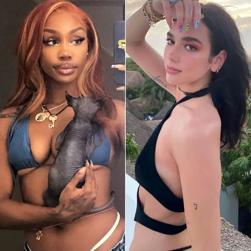 SZA, Dua Lipa and More Stars Rocking the Exposed G-String Trend