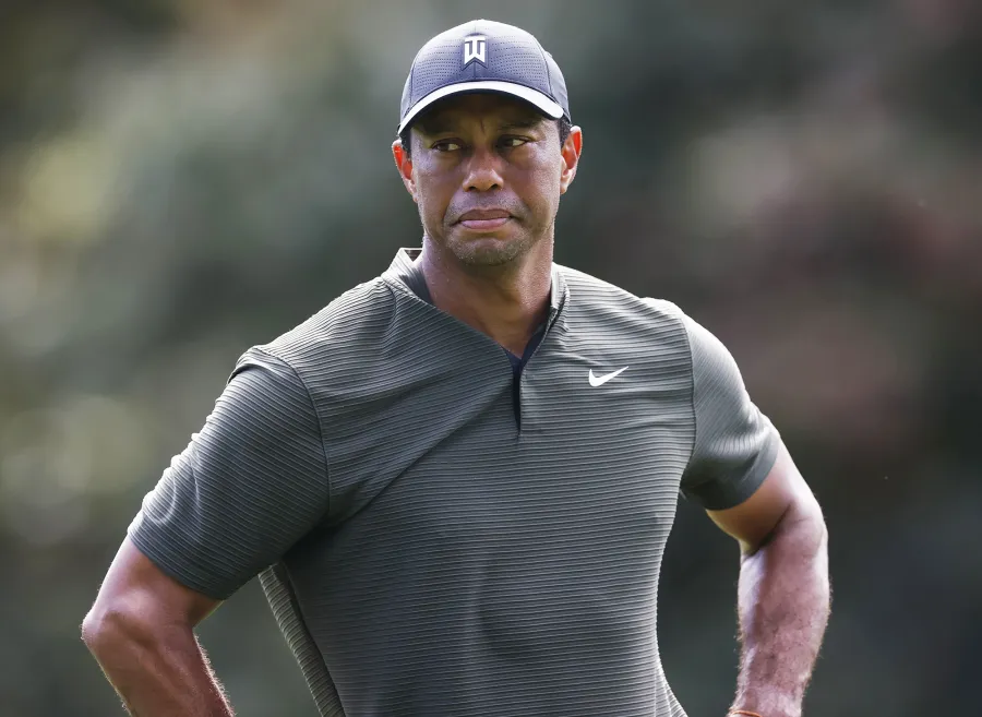 Tiger’s Many Lives