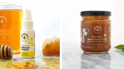 beekeepers-naturals-propolis-honey