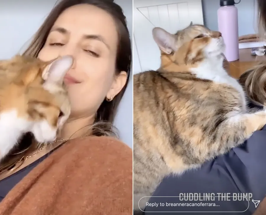 Pregnant Celebrities Showing Baby Bumps in 2021: Photos