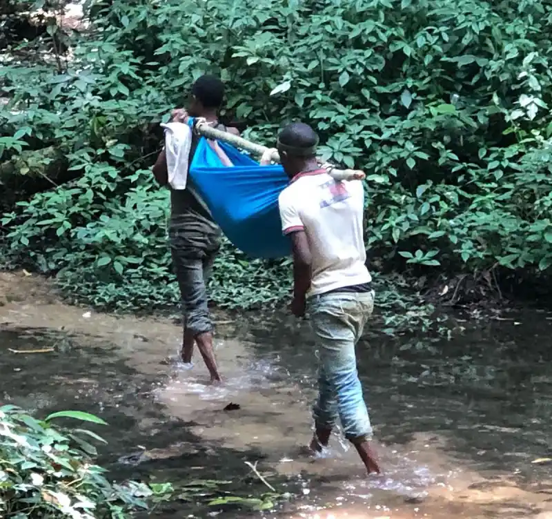 Ashley Judd Shares Photos From ‘Grueling 55-Hour’ Rescue After Near-Fatal Accident in Congo