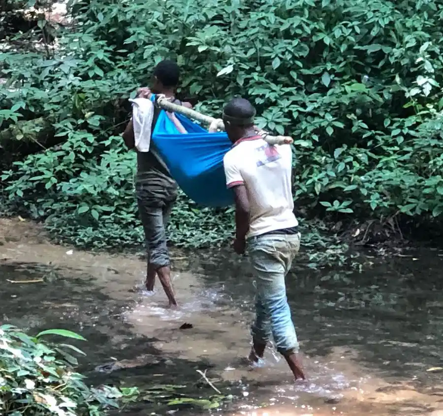 Ashley Judd Shares Photos From ‘Grueling 55-Hour’ Rescue After Near-Fatal Accident in Congo