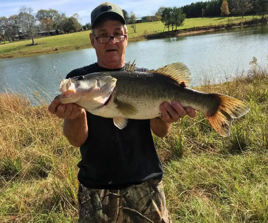 Britney Spears’ Ups and Downs With Dad Jamie Spears Over the Years