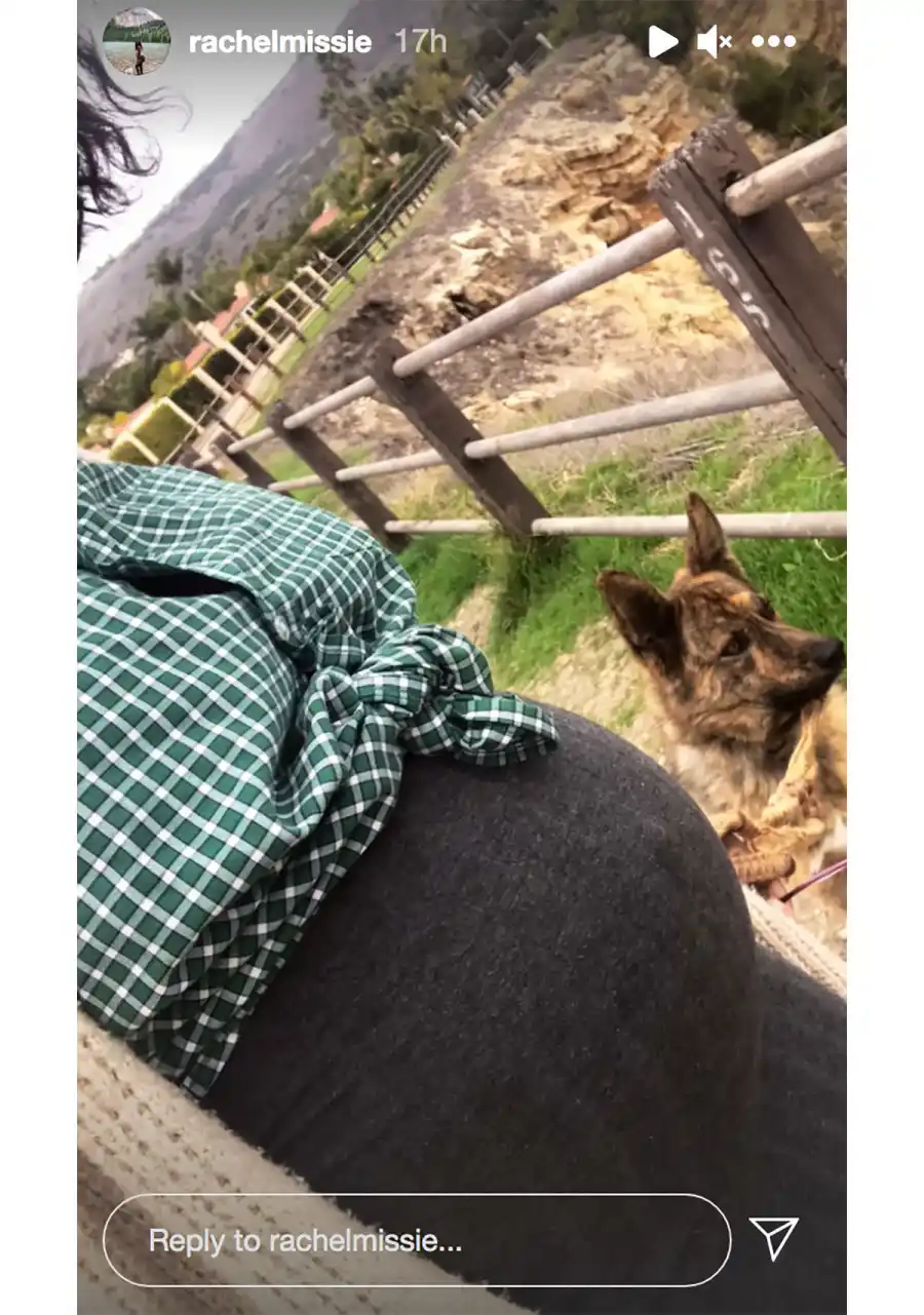 Pregnant Celebrities Showing Baby Bumps in 2021: Photos