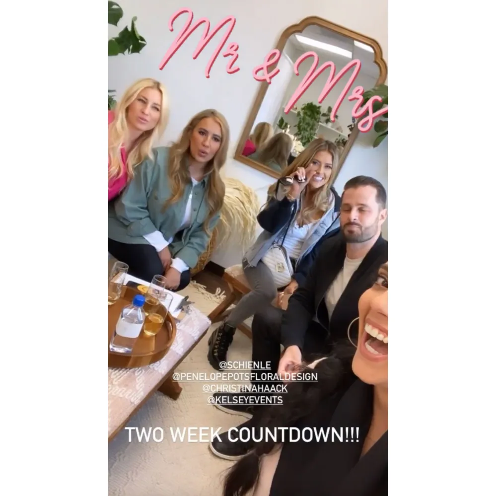 Christina Haack Tries on Wedding Dresses at Best Friend's Fitting Amid Ant Anstead Divorce 2