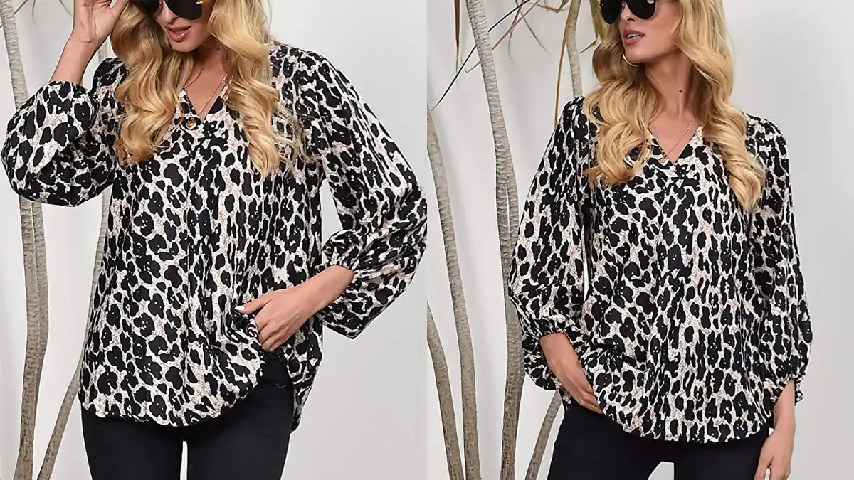 Forucreate Women's Long Sleeve V Neck Lantern Sleeve Blouses