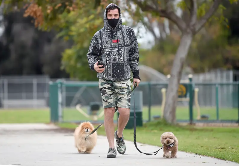 Gavin Rossdale walking dogs