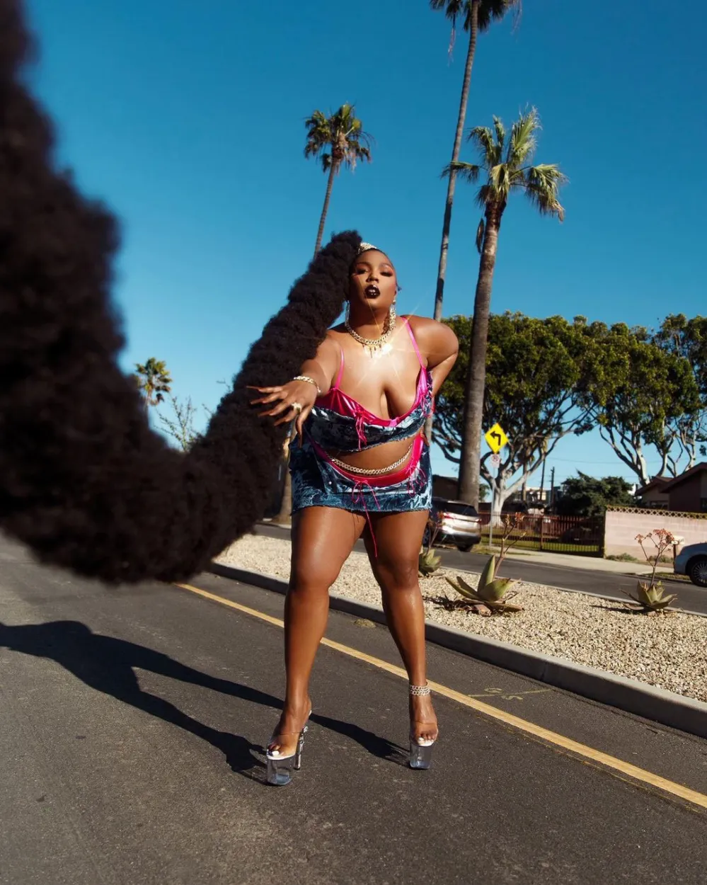 Lizzo&rsquo;s Rapunzel Ponytail Is Made of 40 Extensions Instagram