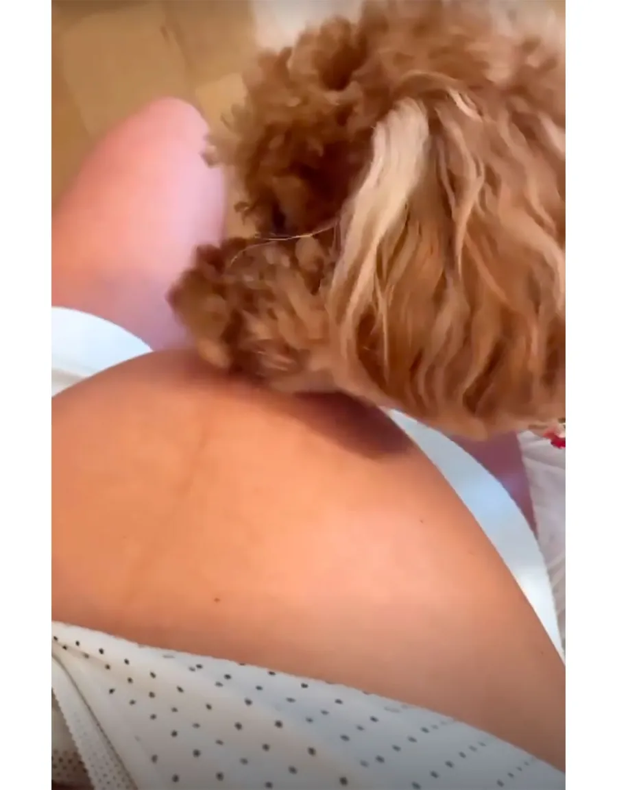 Brittany Cartwright’s Baby Bump Album Ahead of 1st Child With Jax Taylor: Pregnancy Pics