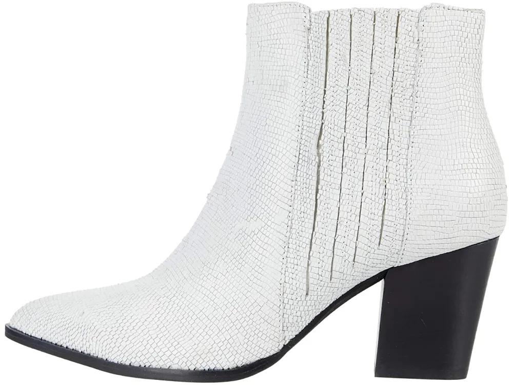 Seychelles-Fare-White-Lizard