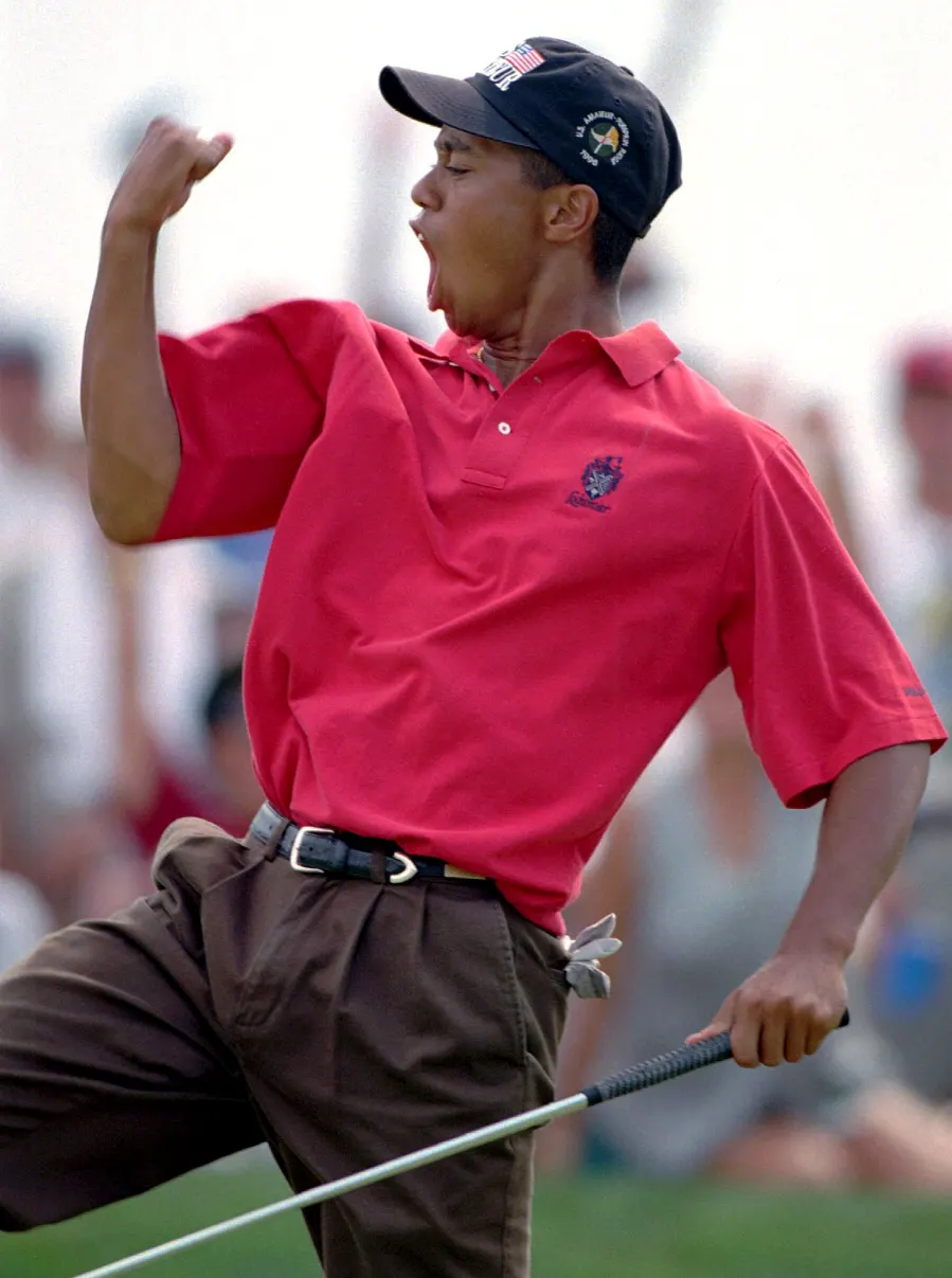 1996 Tiger Woods Ups Downs Through Years