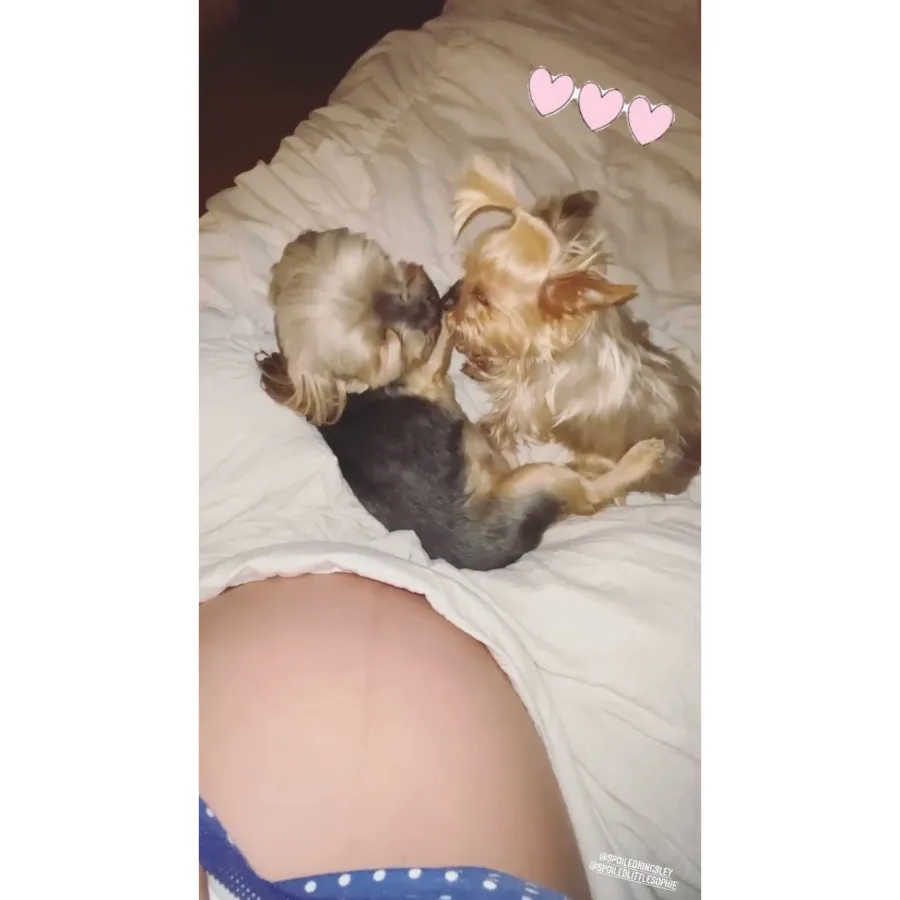 pregnant-brittany-cartwrights-baby-bump-album-pics