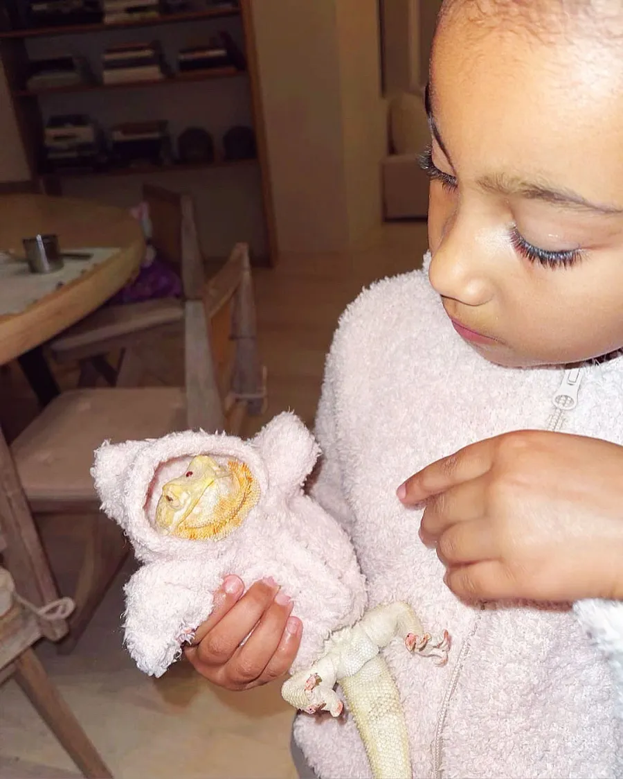 North Wests Lizard Rocks Her Mom Kim Kardashians Skims Merchandise
