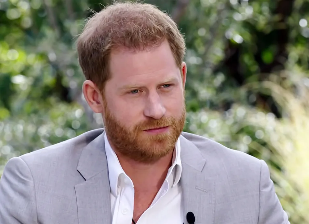 Prince Harry and Meghan Markle First TV Interview Since Royal Exit Everything We Learned
