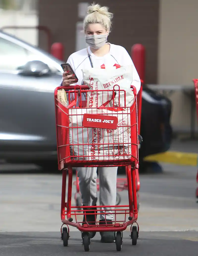 Ariel Winter shopping