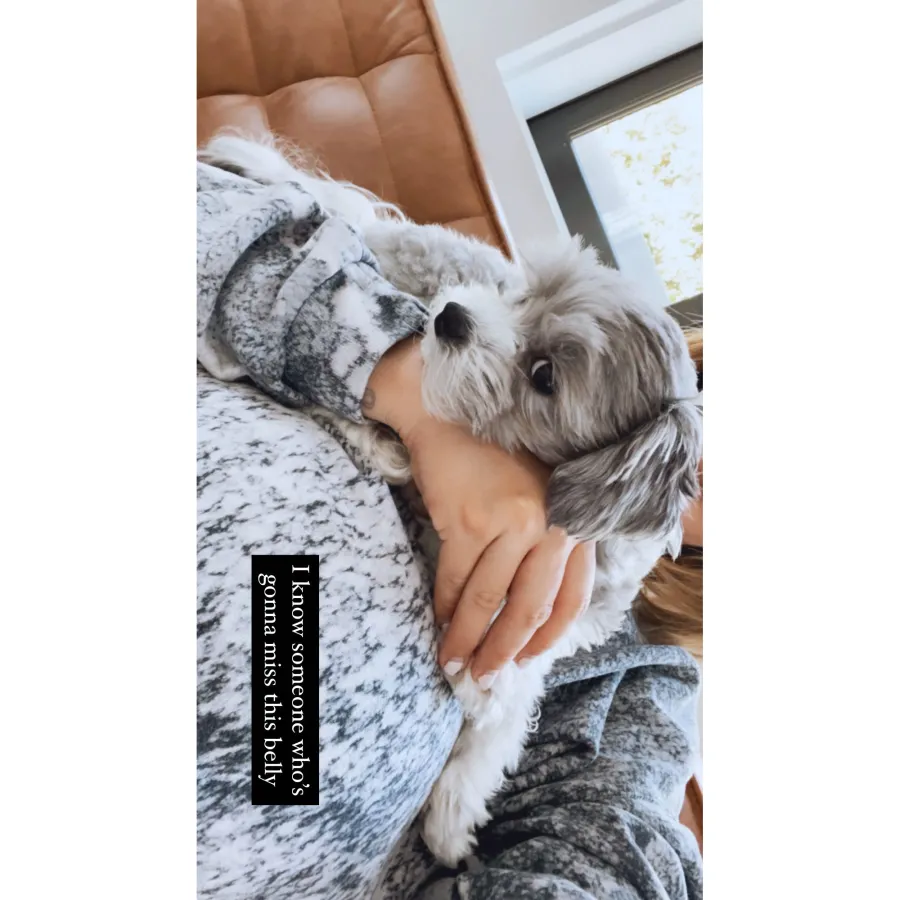 Ashley Tisdale Jokes Her Dog Will Miss Her Baby Bump